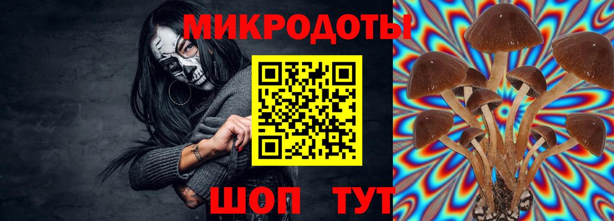 Галлюциногенные грибы мицелий  Вход с VPN  Псилоцибиновые грибы ЛСД  Арзамас 